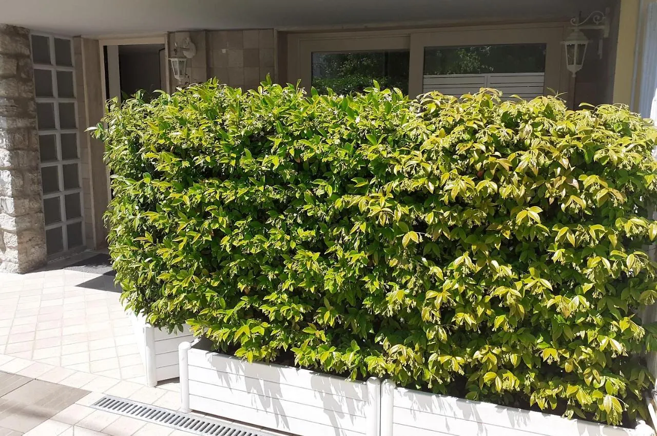 Minzoni94 - Twobedroom+Garden Lido di Camaiore